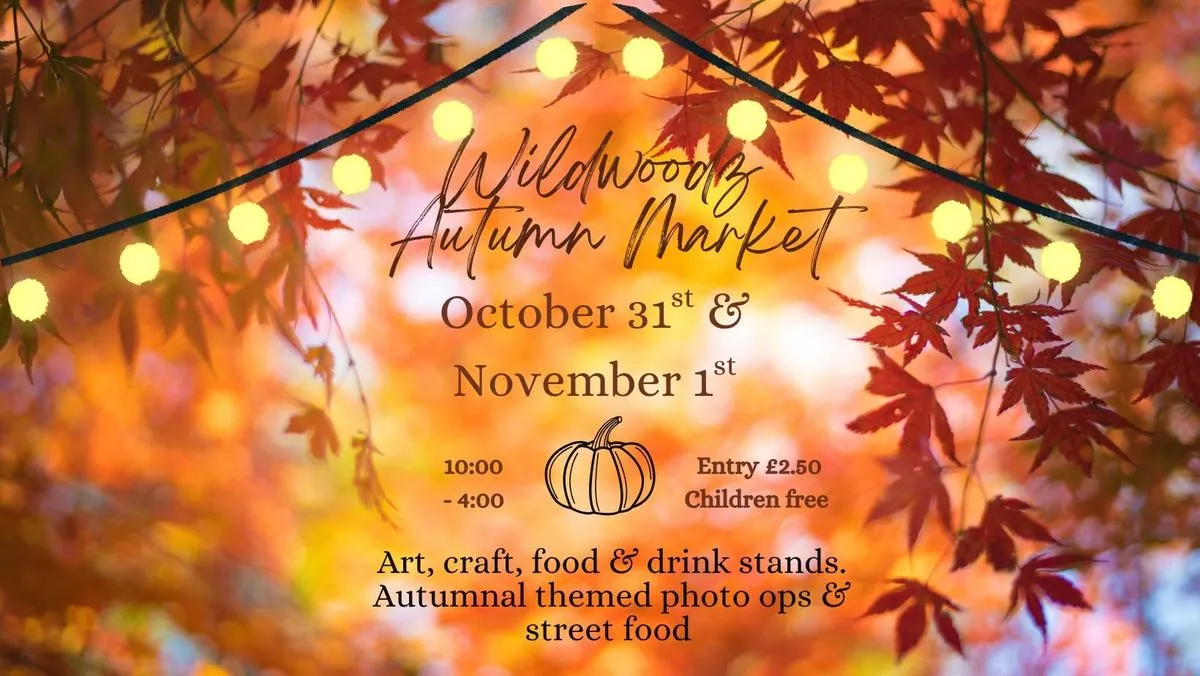 Autumn Market at Wildwoodz Inverness — Markets in Inverness