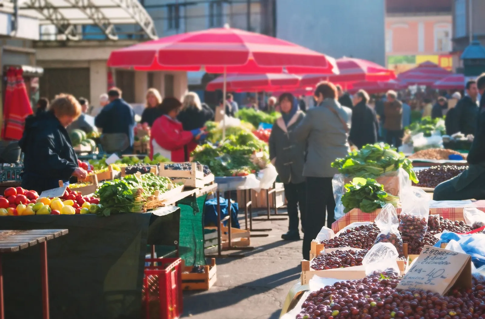 Inverness Farmers Market — Markets in Inverness