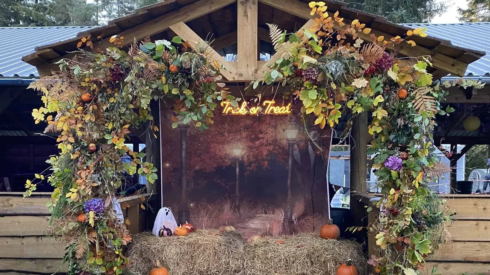 Wildwoodz October Festival — Markets in Inverness